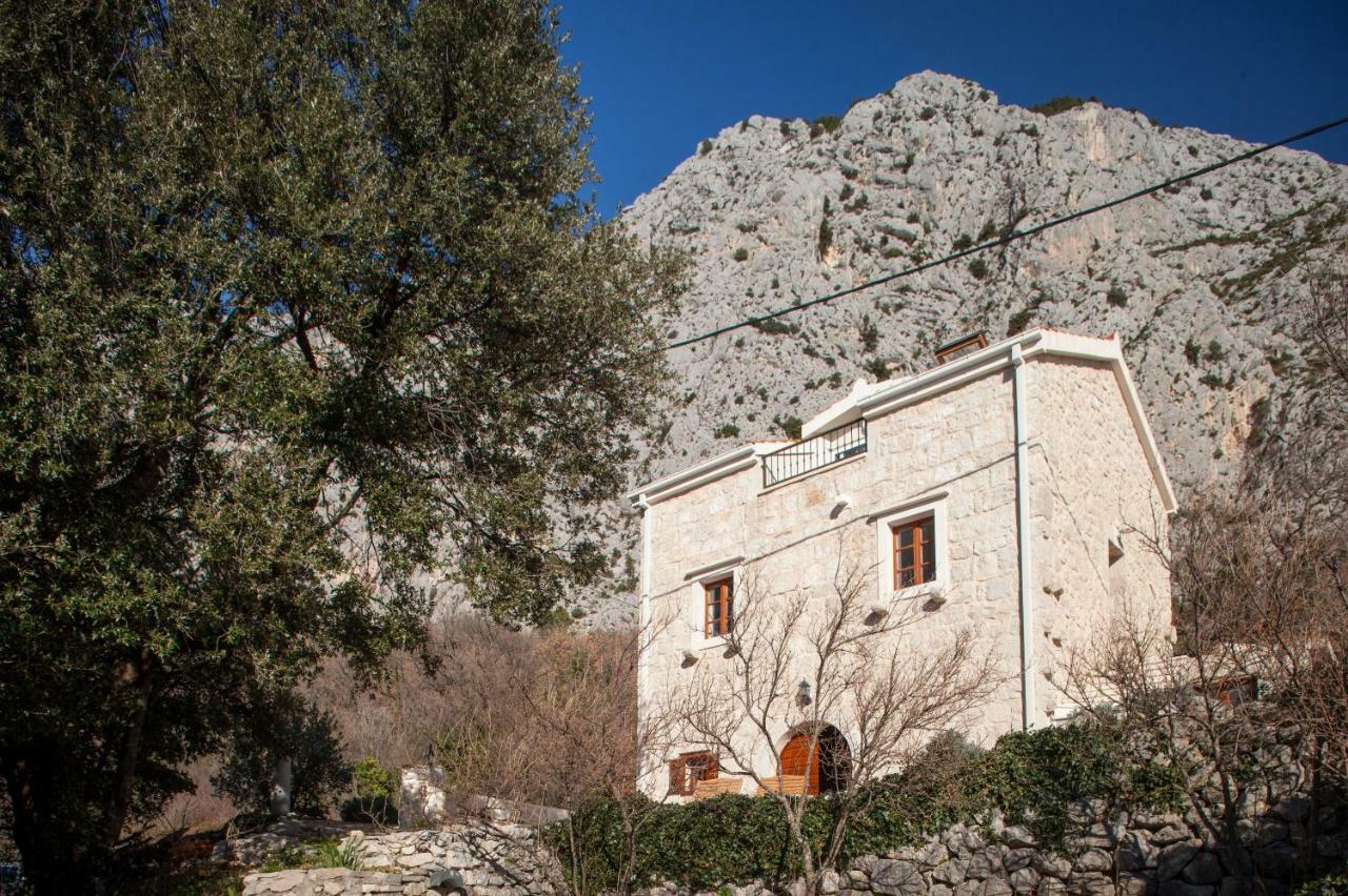 Villa House Pasalich à Tučepi Extérieur photo